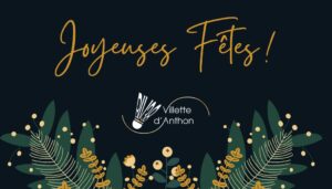 Lire la suite à propos de l’article Joyeuses fêtes !!!