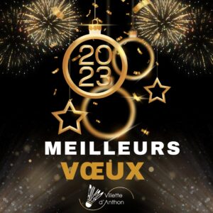Lire la suite à propos de l’article Meilleurs vœux 2023